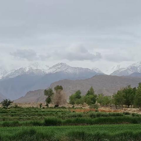 祁连山下好风景，洪水河大峡谷