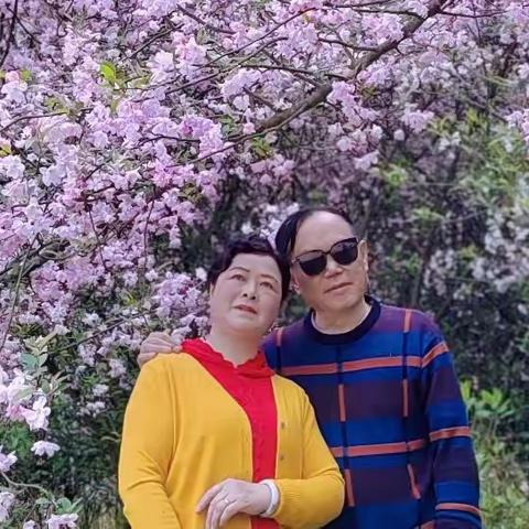 梦里海棠花下语🌺🌺🌺🌹🌹🌹（2022.3.23）