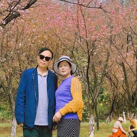 万紫千红总是春🌸🌸🌸🌷🌷🌷（2022.3.21）