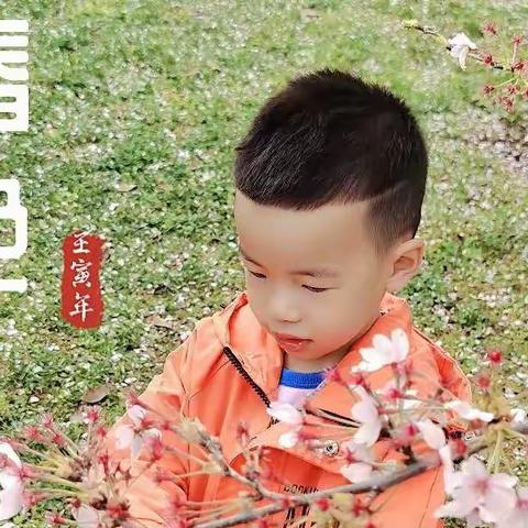 可乐的春天（2022.3.20）