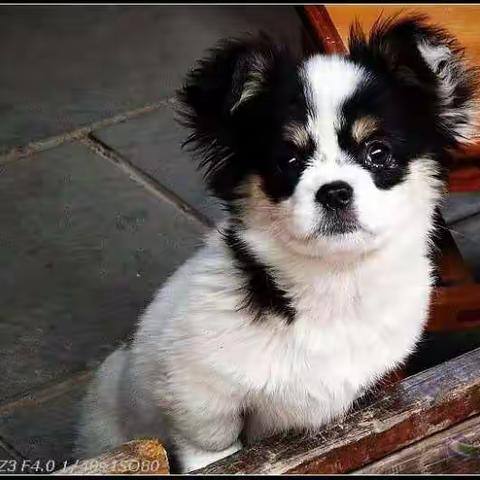 MM的心事你别猜