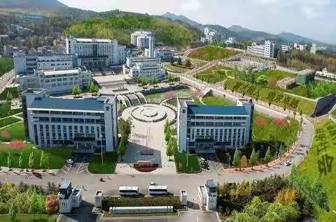 感悟青春       记录美好