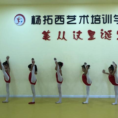杨拓西艺术学校暑期五级先进班