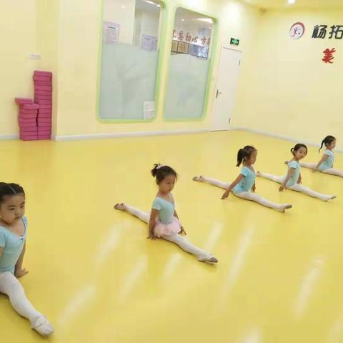 杨拓西艺术培训学校暑期二级一班的宝贝们