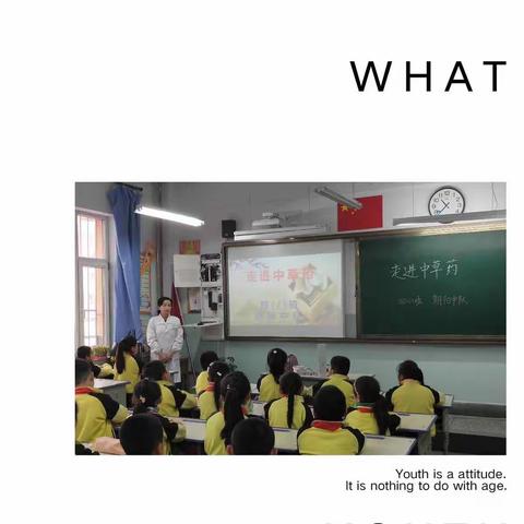 “走进中草药”实践活动