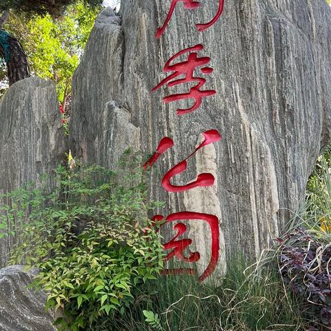 游览郑州月季公园记录