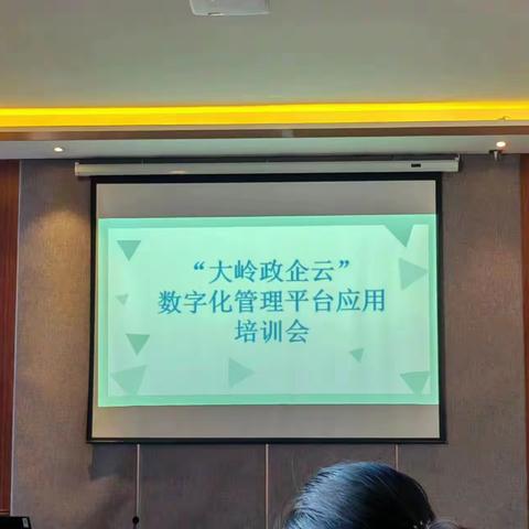 松岭区发改局召开 “大岭政企云”平台应用培训会