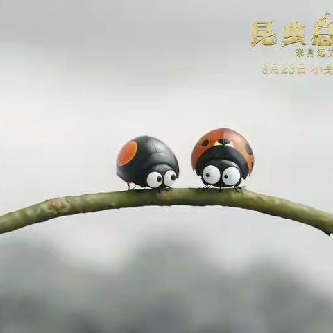 虫虫运动会——小二班画展