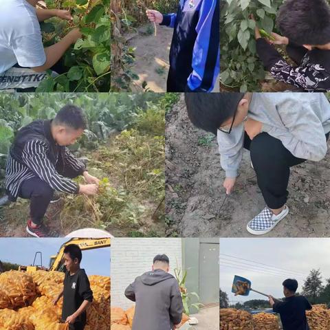 以劳动为犁 深耕梦想              ––高二13 班劳动体验