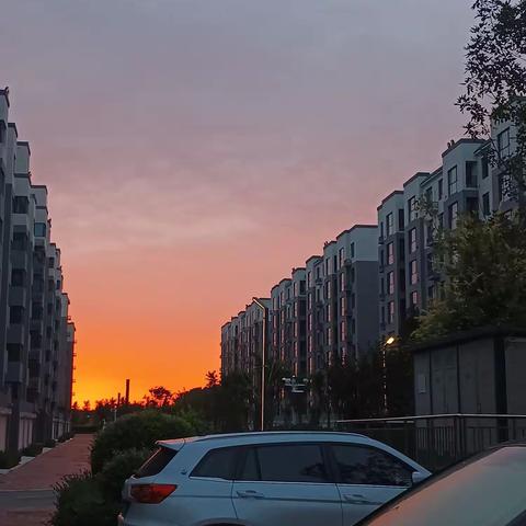 乐亭二中高二13班张诗雅“双节”假期生活记录