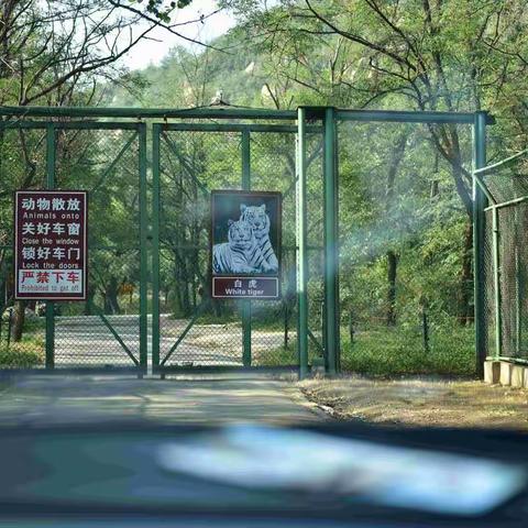 2019.09.29 八达岭野生动物园