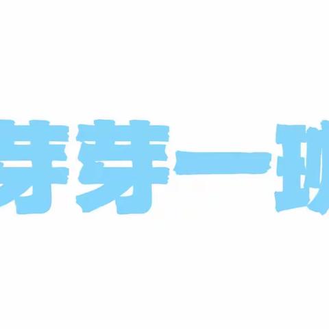 芽芽一班二月份主题教育活动《宝贝一家》