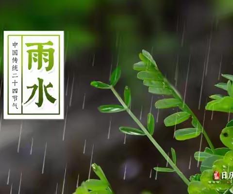 【雨水至，春耕始，万物生】—每个春季，都是充满希望的开始🌱