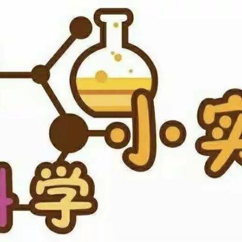 【焦庄•教育】 科学动手做，快乐过寒假