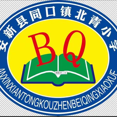 北青小学入队仪式