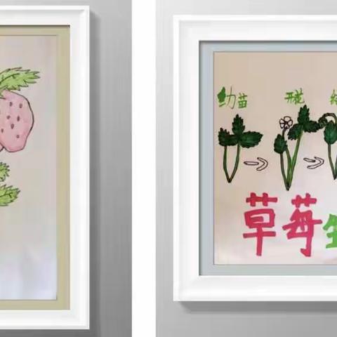 笔尖下的“莓”好——云画展开始啦！