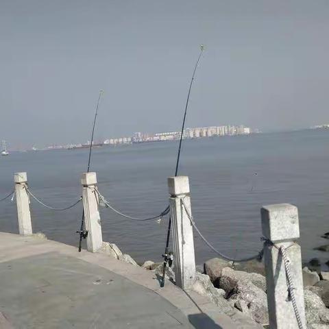 惊人的五大定律