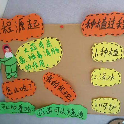 中三班生成课“大蒜生长日记”