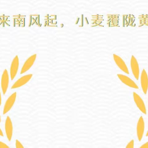 时当仲夏，小麦收获记——代王平丰幼儿园麦收体验活动