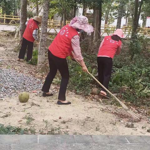 为了营造一个干净、整洁、优美的人居环境，3月5日本号村妇联主席带领执行委员开展农村人居环境整治活动。