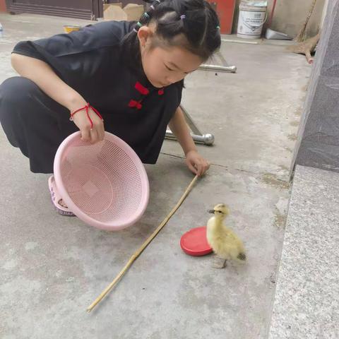 吕月华的美篇