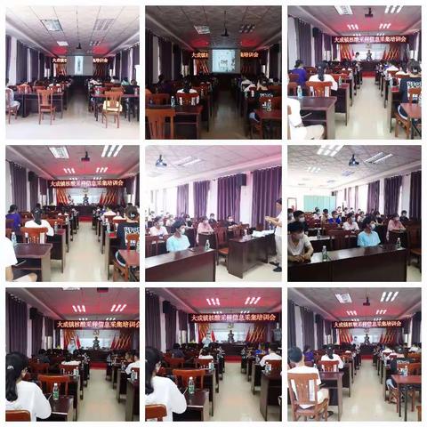 大成镇核酸采样信息采集培训会