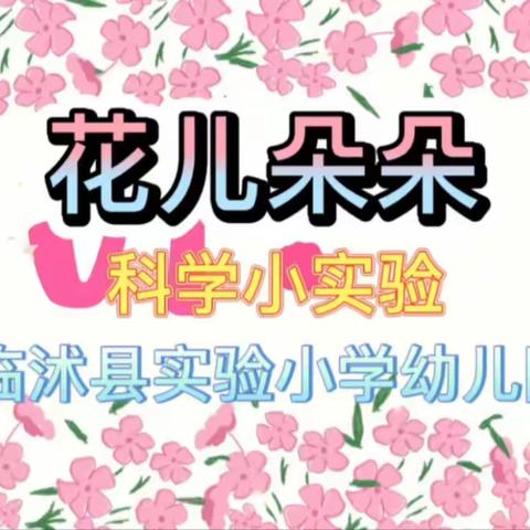 实验小学幼儿园“爱在线上 暖心陪伴”4月8日大班组线上家长教育指导活动