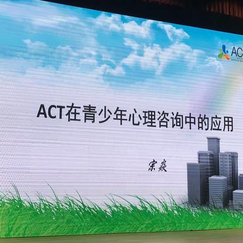 宗焱ACT青少年心理咨询