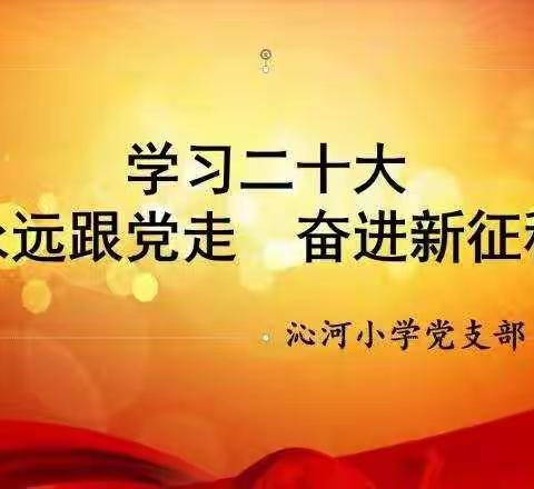 学习二十大，奋进新征程——沁河小学党支部开展党的二十大宣讲活动