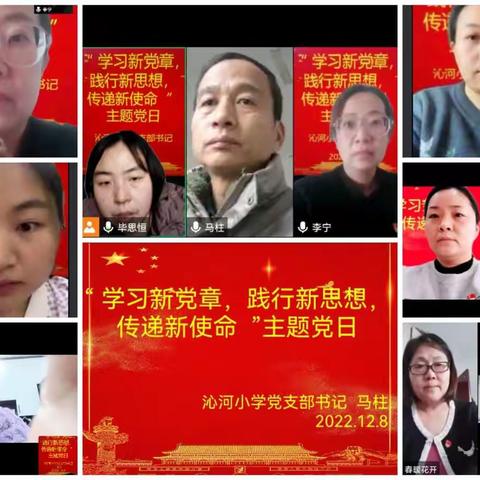 学习新党章，践行新思想，传递新使命——沁河小学党支部12月主题党日