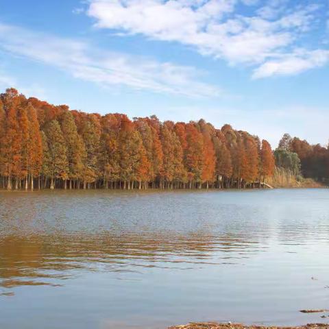 大湾水库网红打卡地