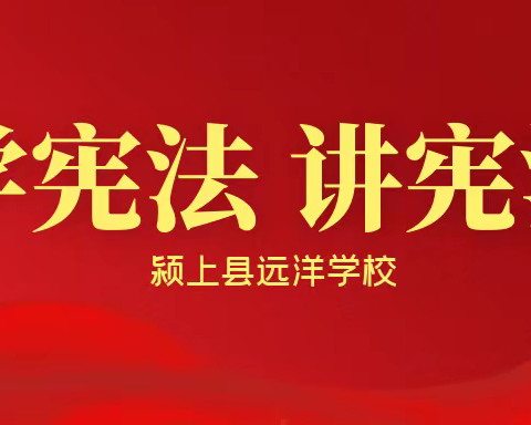 颍上县远洋学校“学宪法讲宪法”主题班会教育活动