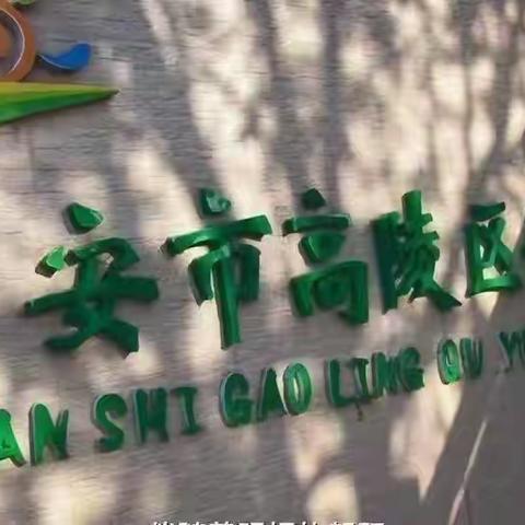 大四班主题《牙齿咔咔咔》活动总结