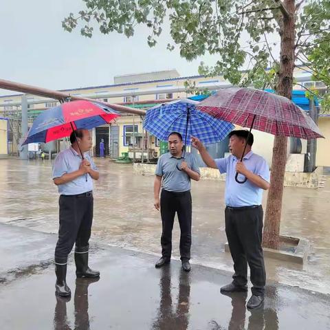 实地走访，切除危险，化险为夷 龙岗助企干部筑牢防汛安全线
