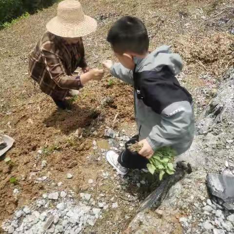 五一假期  劳动最光荣