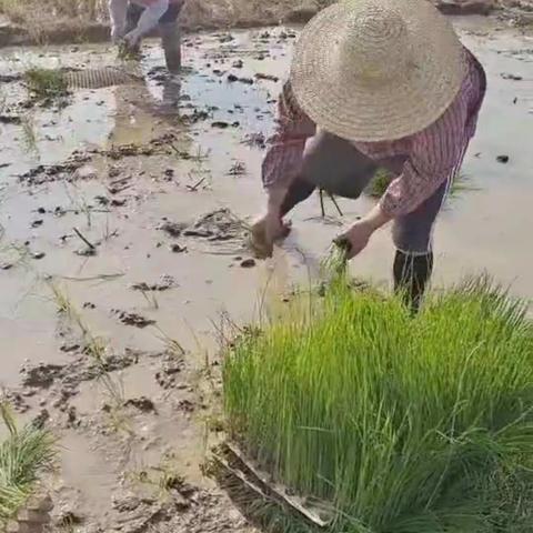 俯身劳动创造，享受美好生活