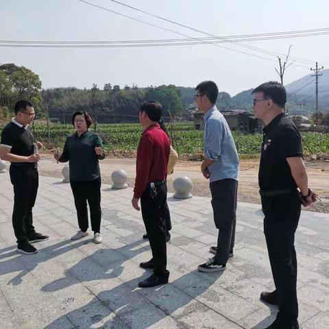 尤溪县人大常委会张金华副主任到洋中镇开展公共文化服务保障法贯彻实施情况调研