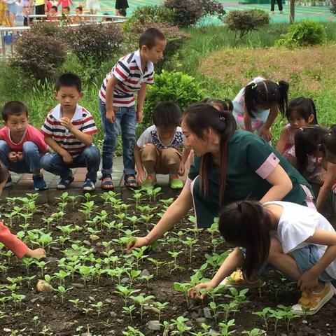 我是幼儿园老师