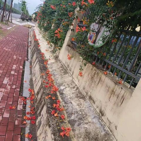 杂感