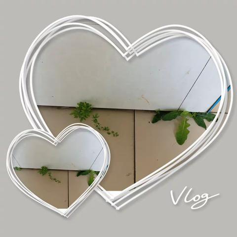 绿色的崛强