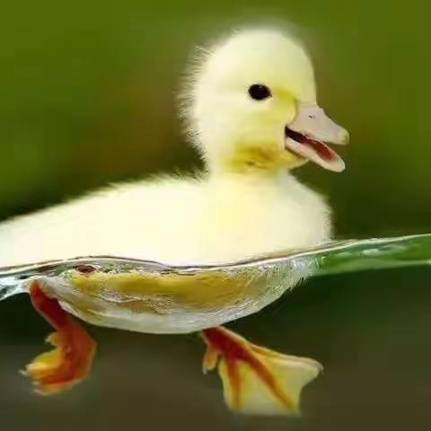 潜泳