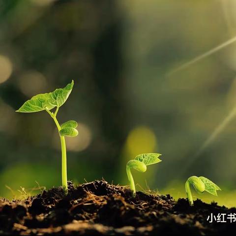 植树节“拥抱春天 播种希望”