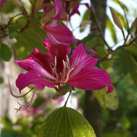 记忆中的77年高考