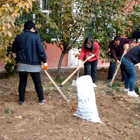 61班实践园🌵星星岛上号角响🌵镢锹锄耙奏乐章🌵挖铲刨翻汗水淌🌵家长学生齐上阵🌵致雅育才香满园