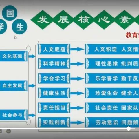 小学语文新课标学习体会