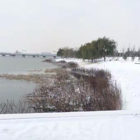 雪后沭景