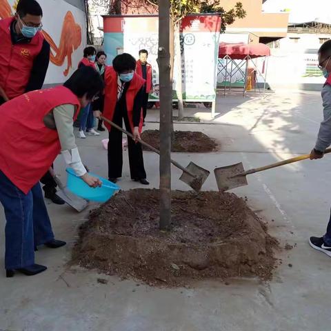 华龙区黄河路小学支部委员会组织党员教师参加植树节主题活动