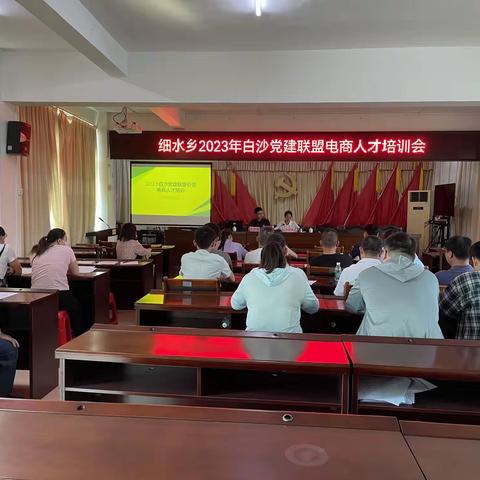 细水乡举办2023年党建引领联盟电商人才培训会