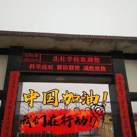 不同的课堂，别样的收获——北社小学“停课不停学”教学记录