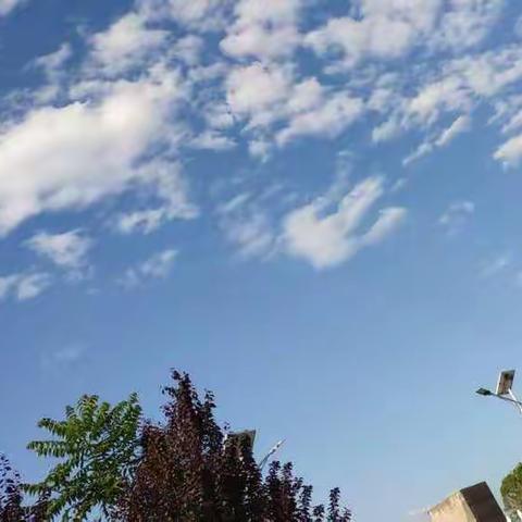 小精灵幼儿园小班第十一、十二周生活留影